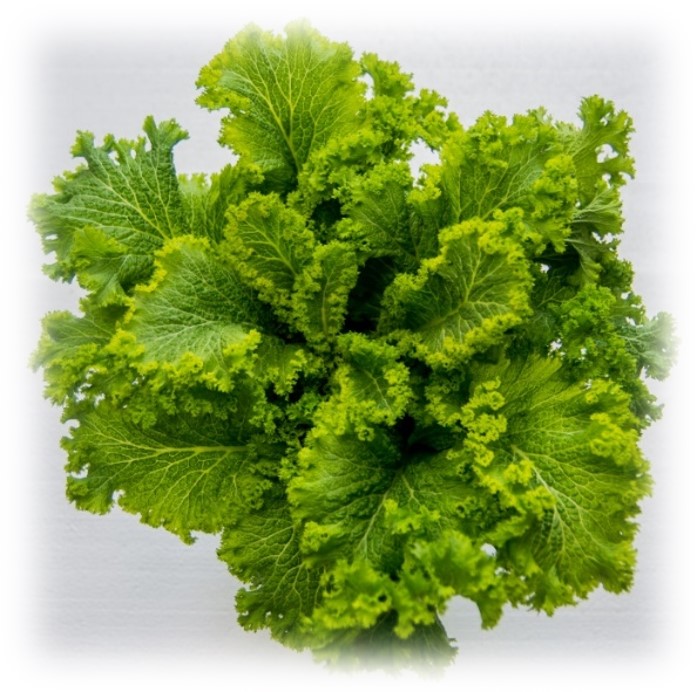 Salata iute Aroma