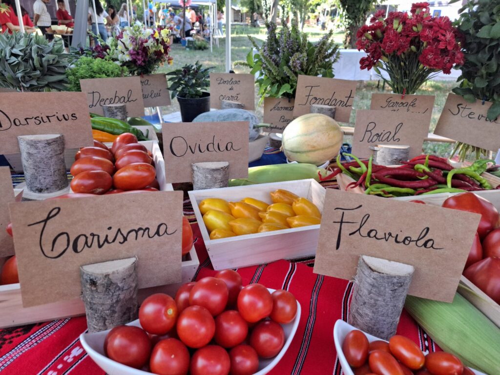 SCDL Buzău la Festivalul Tomatelor din București – știința și tradiția românească în slujba biodiversității