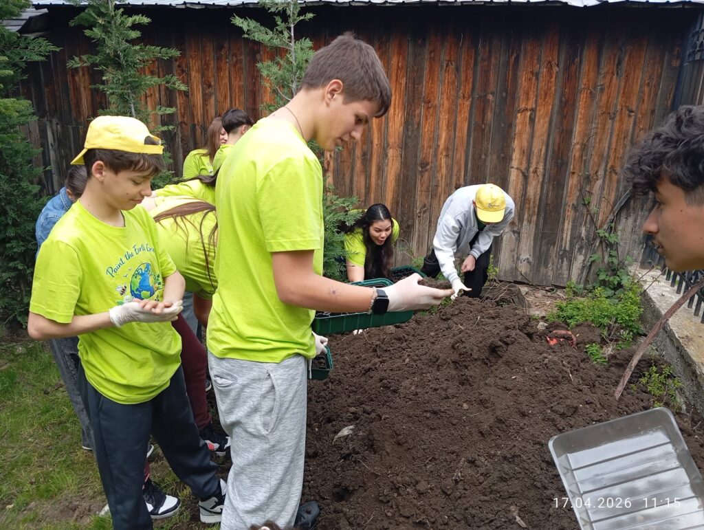 SCDL Buzău alături de EcoSMART — când știința și educația cresc împreună 8 Plante tinere îngrijite de elevi în grădina proiectului EcoSMART