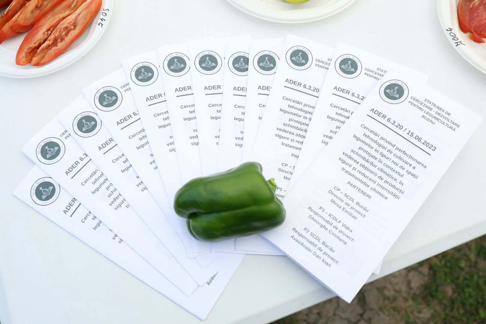 Discuții despre tehnologiile moderne de cultivare a tomatelor
