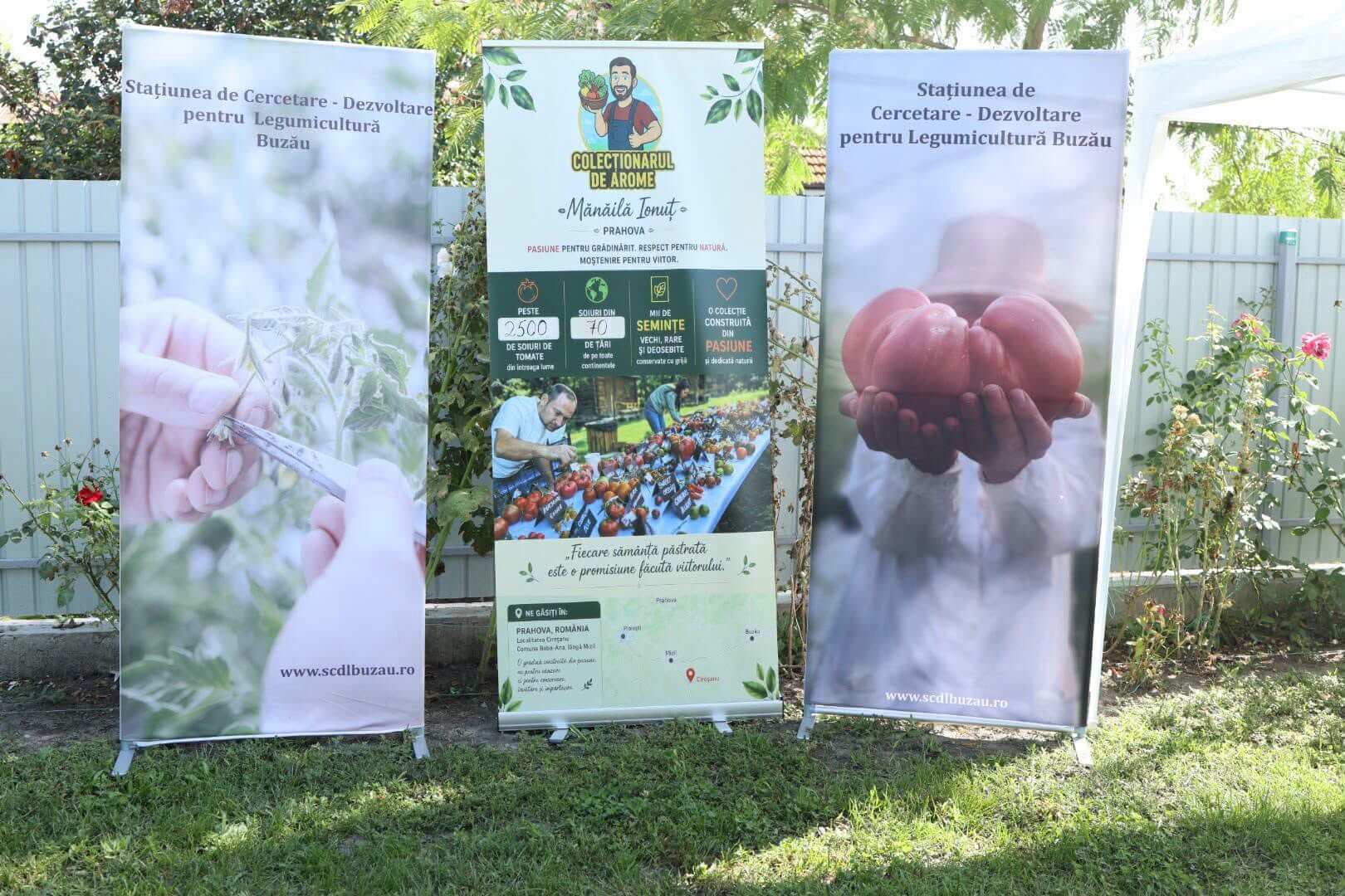 Diversitatea de forme și culori a tomatelor din colecție