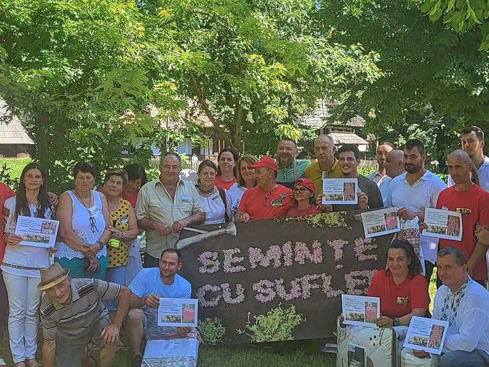 Acasa 16 Linia de tomate #SCDL10, premiată cu locul II la Festivalul Tomatelor din București
