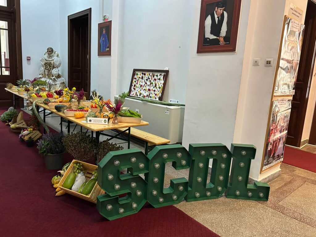 Literele luminoase SCDL și expoziția de legume la Muzeul Județean Buzău