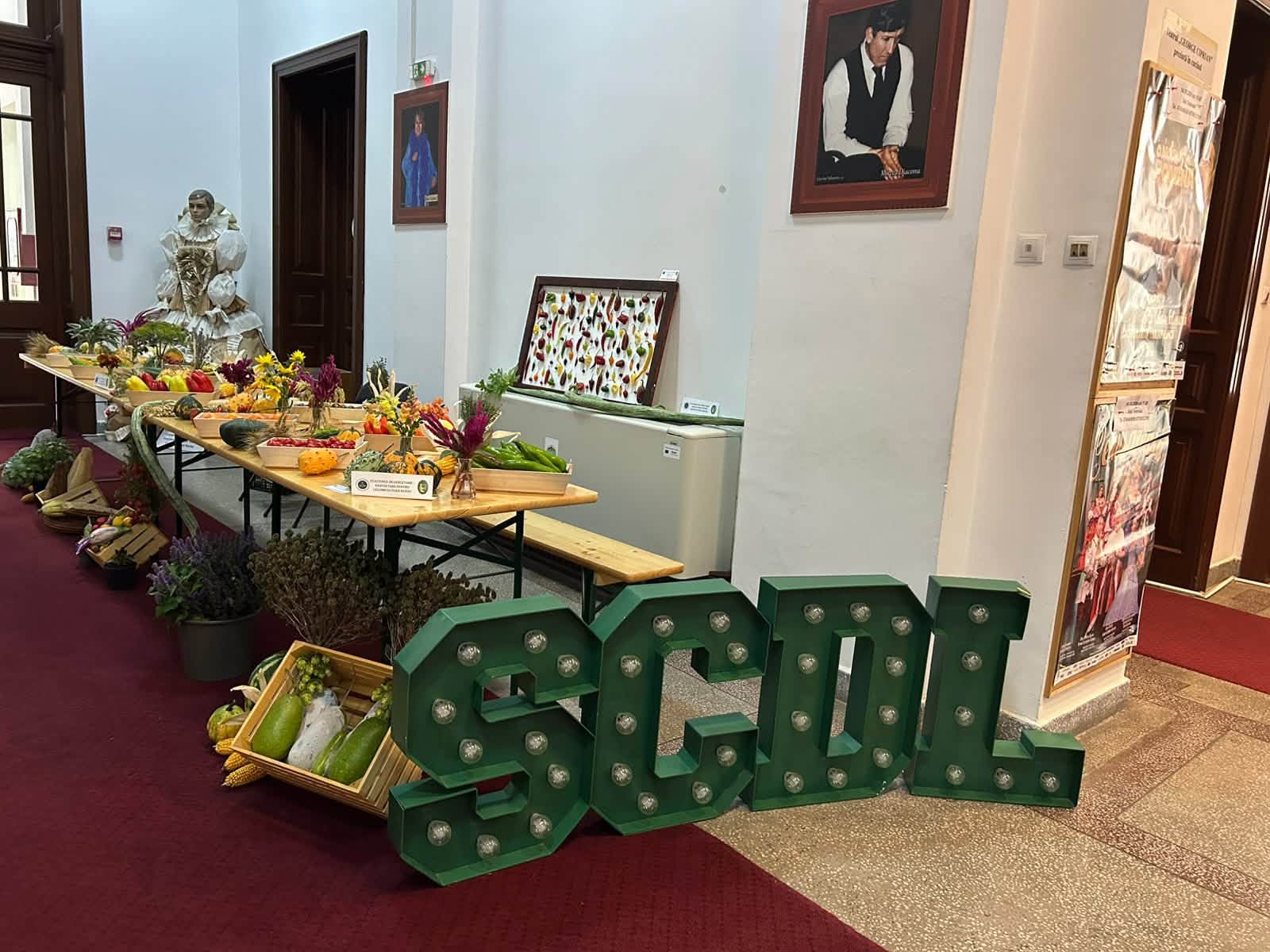 Literele luminoase SCDL și expoziția de legume la Muzeul Județean Buzău