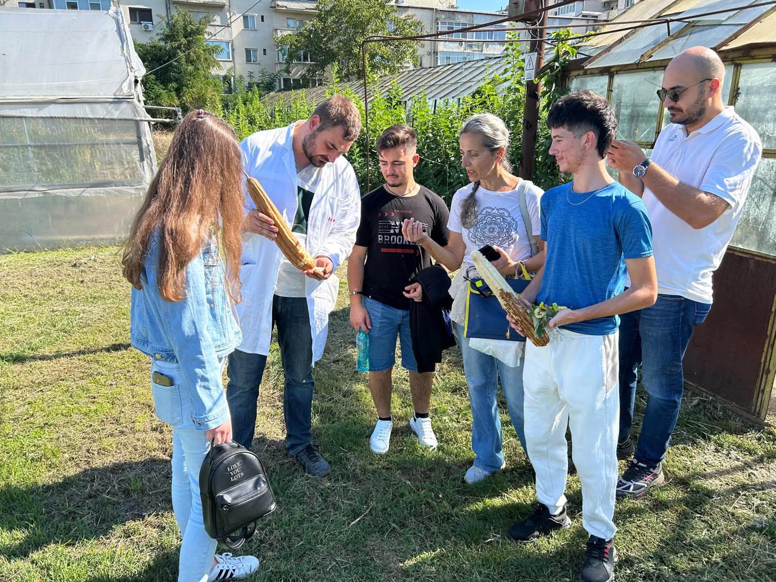 Totul a început de la câteva semințe de lufă: povestea echipei PureLoofa 4 Elevii echipei PureLoofa examinează fructe uscate de lufă alături de un cercetător SCDL Buzău